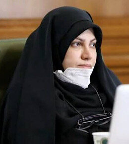 نجفی: همکاری نهادهای مختلف با وزارت اطلاعات برای تامین امنیت ضروری است
 سوده نجفی