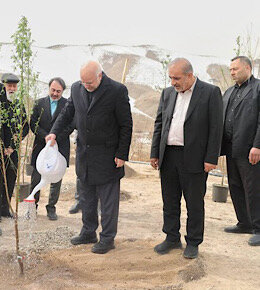 قالیباف یک اصله نهال مثمر را در شرق شهر تهران غرس کرد کاشت درخت توسط قالیباف