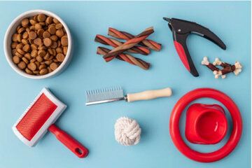 لوازم ضروری برای سگ: نکات مهم برای نگهداری از حیوان خانگی شما