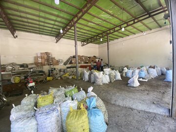 فروش گردوی اعلا امامزاده کوه – همدان