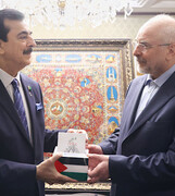 دیدار قالیباف با رئیس جمهور پاکستان