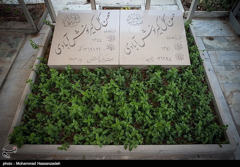 یاد یاران