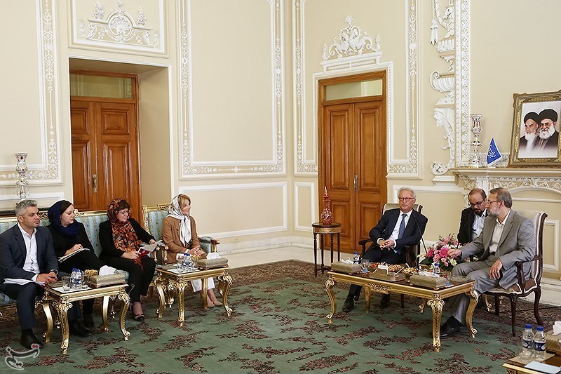 دیدار رئیس مجلس با هیئت پارلمانی اروپا