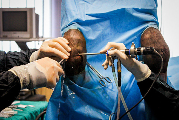 جراحی پای اسب در دانشگاه فردوسی