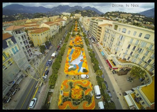 جشنواره زیبای مرکبات در فرانسه