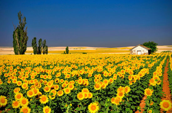 حضور در این مناطق رویایی آرزوی هر انسانیست!