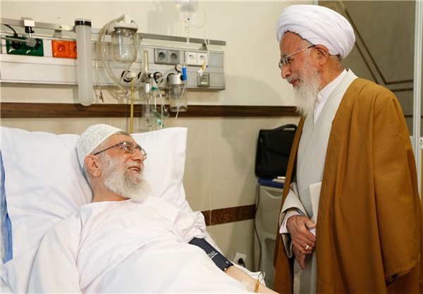 حضرت آیت‌الله جوادی آملی عصر روز سه شنبه با حضور در بیمارستان از رهبر انقلاب اسلامی عیادت کردند.
