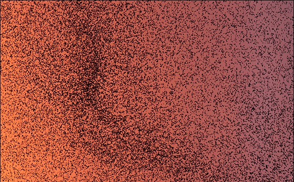 سارها پرندگانی پر سر و صدا و خودنما هستند که به صورت گروهی حرکت می کنند و با حرکات مواج جمعی در آسمان اشکال زیبایی را می آفرینند. گاهی تعداد این گروه از پرندگان به میلیون ها عدد می رسد که حتی می توان