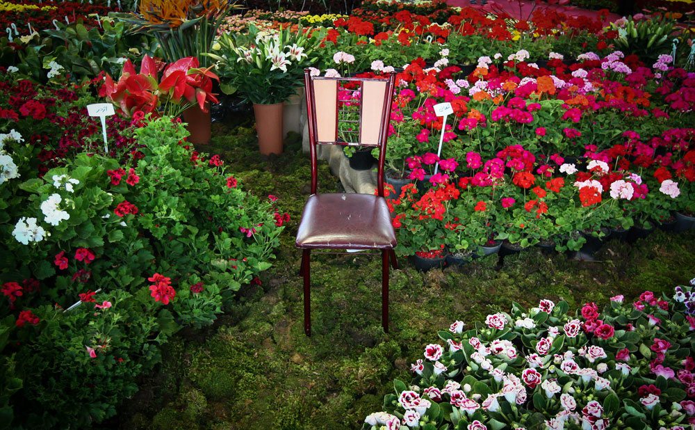 نمایشگاه گل