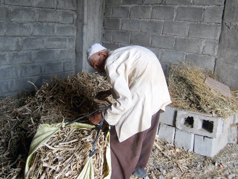 کار و تلاش پیرمرد ۹۰ ساله
