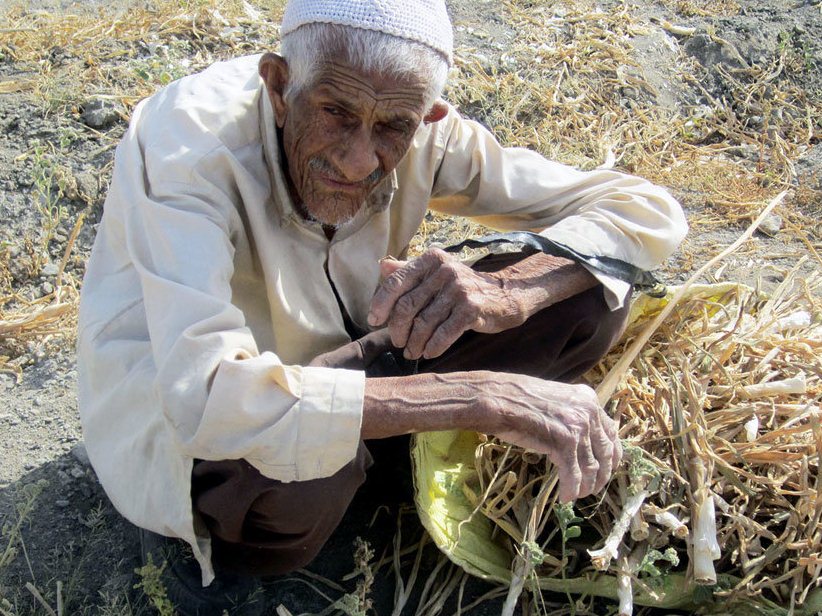 کار و تلاش پیرمرد ۹۰ ساله