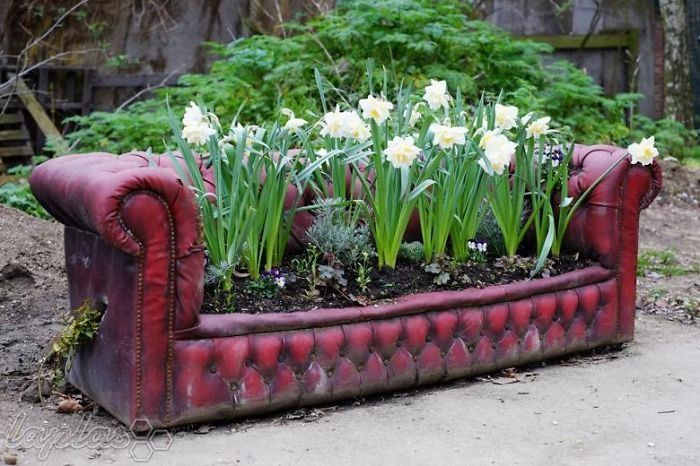 تبدیل وسایل قدیمی به باغ های رویایی