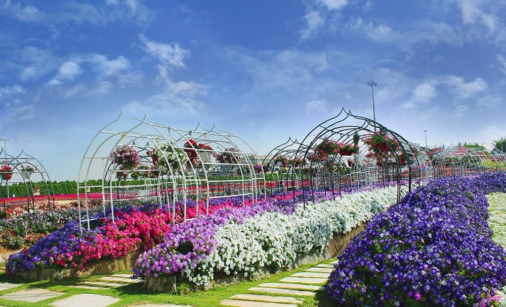 بزرگترین باغ گل جهان در عمق صحرای دبی