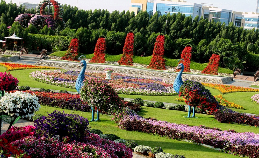 بزرگترین باغ گل جهان در عمق صحرای دبی