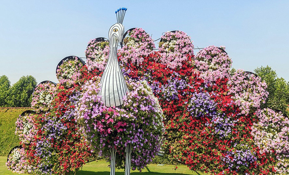 بزرگترین باغ گل جهان در عمق صحرای دبی