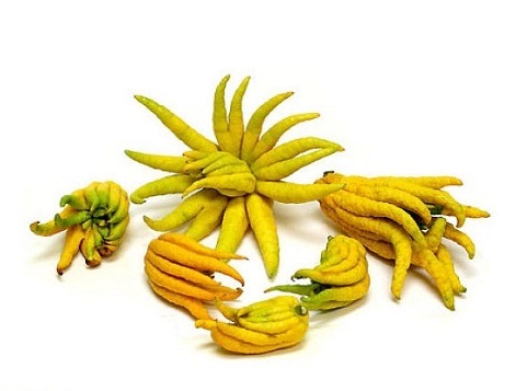 میوه های متفاوت و عجیب!
