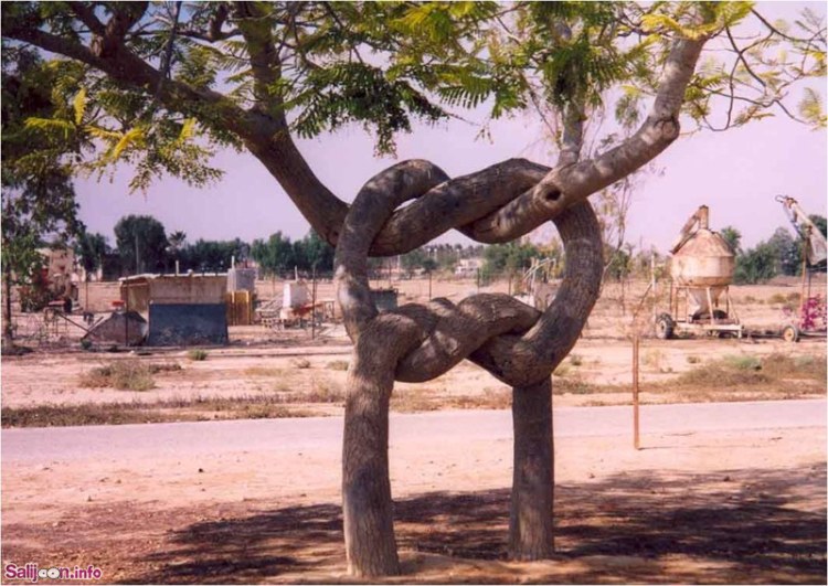حوادث عجیب