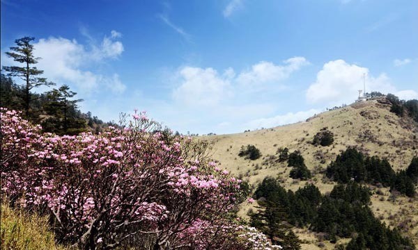 طبیعت چین