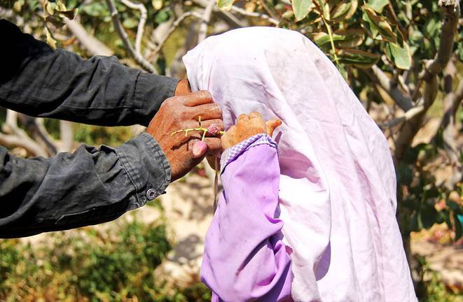 شوق مدرسه در دل کودکان کار