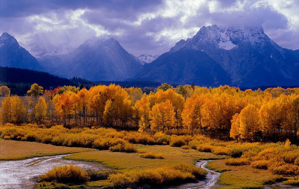 رنگ آمیزی زیبای طبیعت در فصل پاییز