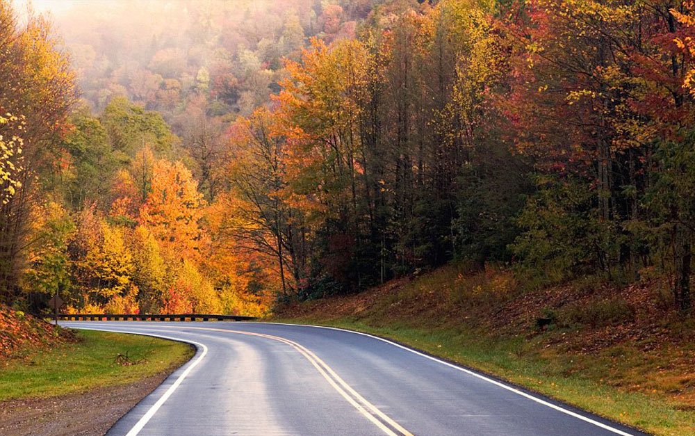 رنگ آمیزی زیبای طبیعت در فصل پاییز