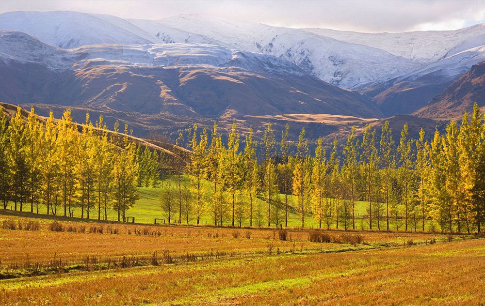 رنگ آمیزی زیبای طبیعت در فصل پاییز